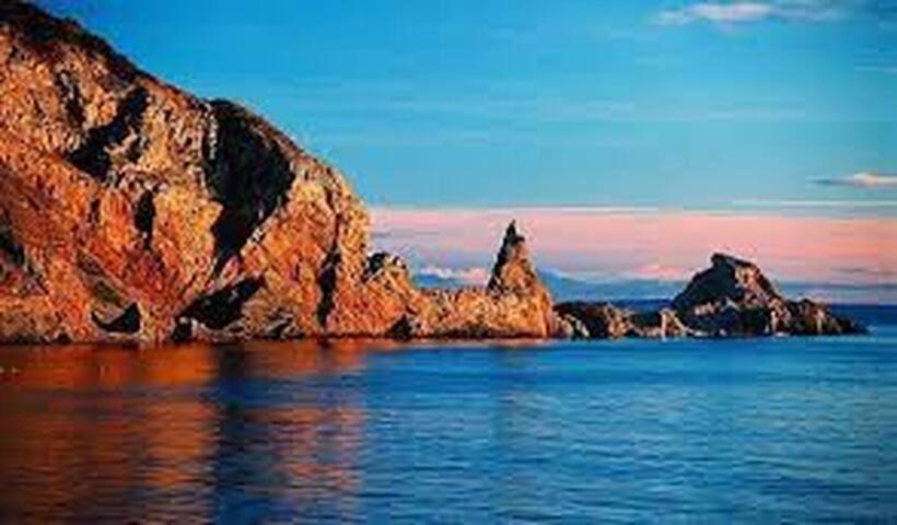 Halekulani Devon Homestay Torquay Buitenkant foto